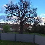 Makra-teto Oeregtoelgy