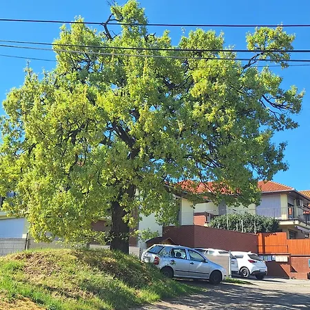 Apartmán Makra-teto Oeregtoelgy Pětikostelí