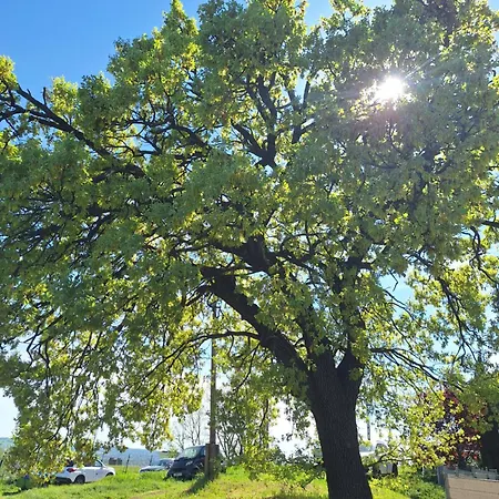Apartmán Makra-teto Oeregtoelgy Pětikostelí