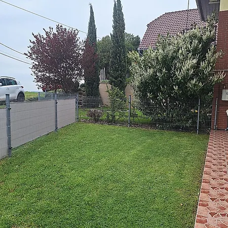 Makra-teto Oeregtoelgy *